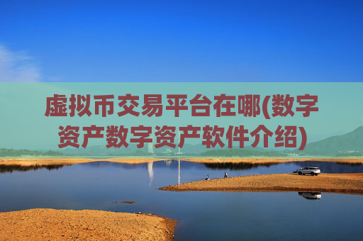 虚拟币交易平台在哪(数字资产数字资产软件介绍)