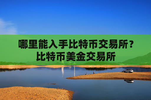 哪里能入手比特币交易所？比特币美金交易所