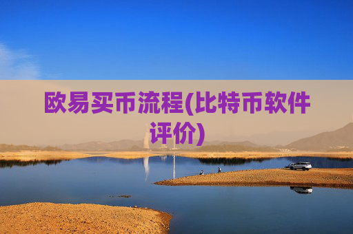 欧易买币流程(比特币软件评价)