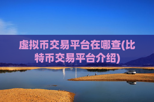 虚拟币交易平台在哪查(比特币交易平台介绍)