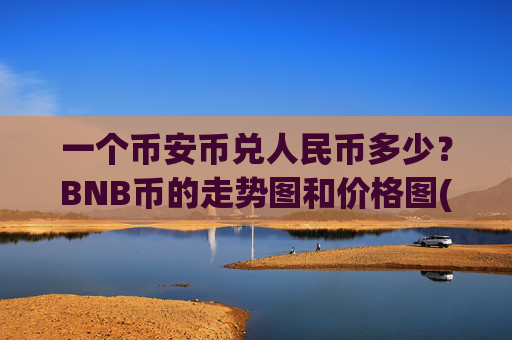 一个币安币兑人民币多少？BNB币的走势图和价格图(现价4846.46元)