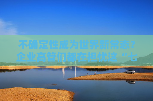 不确定性成为世界新常态？企业高管们都在担忧这“七大问题”
