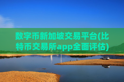 数字币新加坡交易平台(比特币交易所app全面评估)