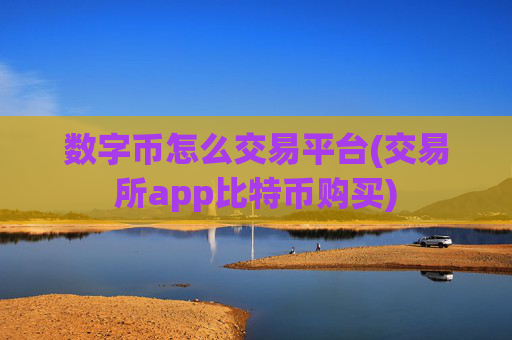 数字币怎么交易平台(交易所app比特币购买)