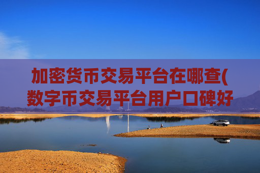 加密货币交易平台在哪查(数字币交易平台用户口碑好)