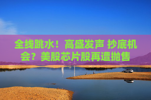 全线跳水！高盛发声 抄底机会？美股芯片股再遭抛售