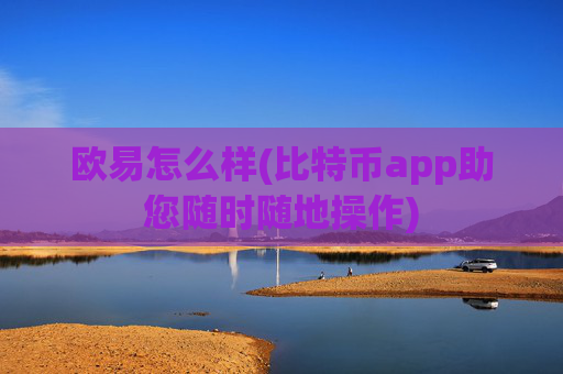 欧易怎么样(比特币app助您随时随地操作)