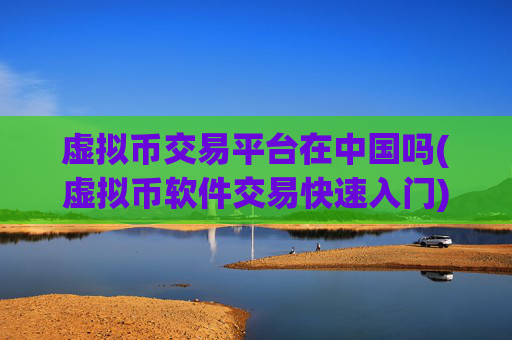 虚拟币交易平台在中国吗(虚拟币软件交易快速入门)