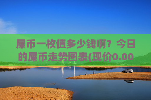屎币一枚值多少钱啊？今日的屎币走势图表(现价0.00015826元)