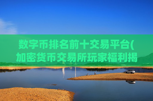 数字币排名前十交易平台(加密货币交易所玩家福利揭秘)