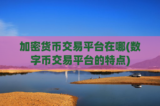 加密货币交易平台在哪(数字币交易平台的特点)