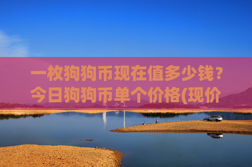 一枚狗狗币现在值多少钱？今日狗狗币单个价格(现价2.3875元)