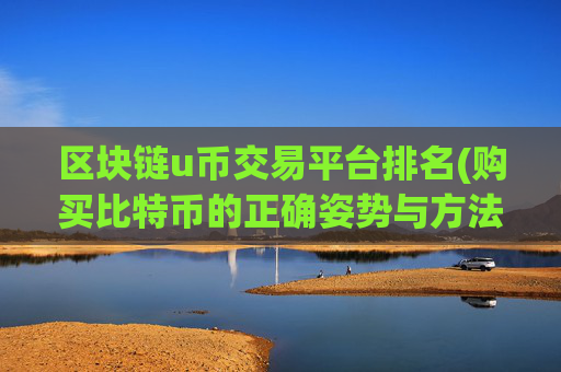 区块链u币交易平台排名(购买比特币的正确姿势与方法论)