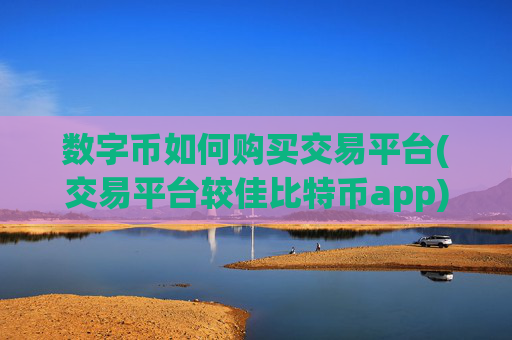 数字币如何购买交易平台(交易平台较佳比特币app)