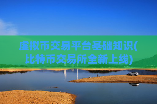 虚拟币交易平台基础知识(比特币交易所全新上线)