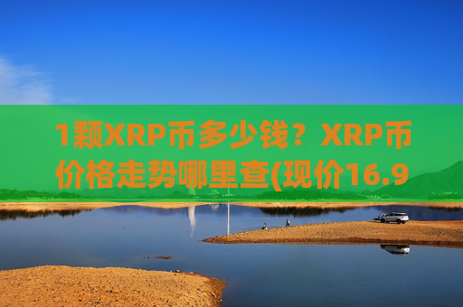 1颗XRP币多少钱？XRP币价格走势哪里查(现价16.9992元)