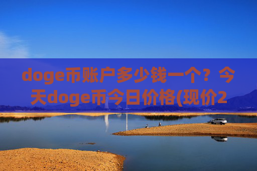doge币账户多少钱一个？今天doge币今日价格(现价2.3213元)