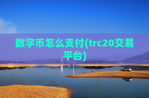 数字币怎么支付(trc20交易平台)