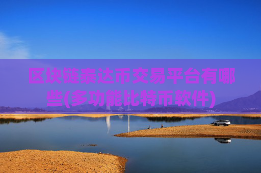 区块链泰达币交易平台有哪些(多功能比特币软件)