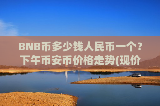 BNB币多少钱人民币一个？下午币安币价格走势(现价4896.81元)