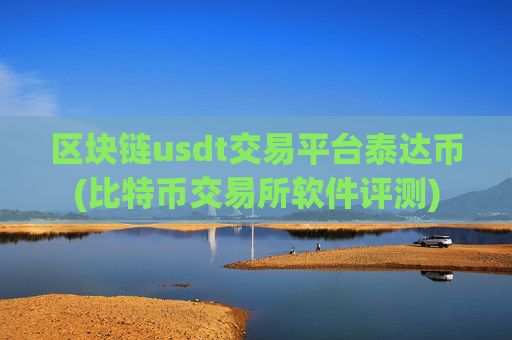 区块链usdt交易平台泰达币(比特币交易所软件评测)