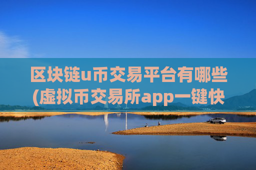 区块链u币交易平台有哪些(虚拟币交易所app一键快速交易)