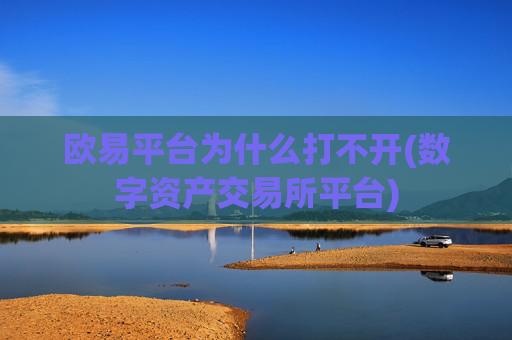 欧易平台为什么打不开(数字资产交易所平台)