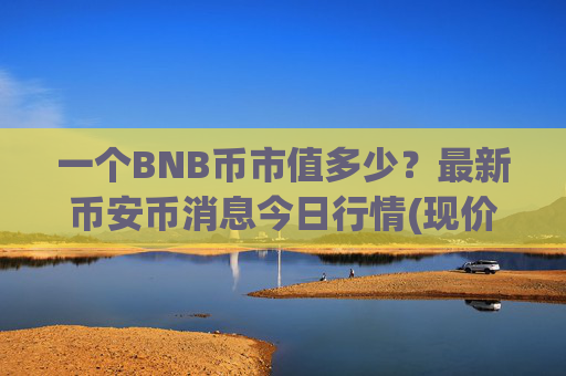 一个BNB币市值多少?最新币安币消息今日行情(现价4859.59元)