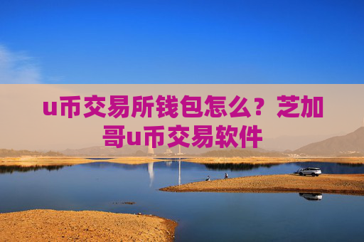 u币交易所钱包怎么？芝加哥u币交易软件