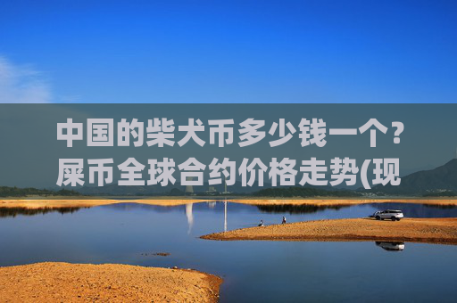 中国的柴犬币多少钱一个？屎币全球合约价格走势(现价0.0001588元)