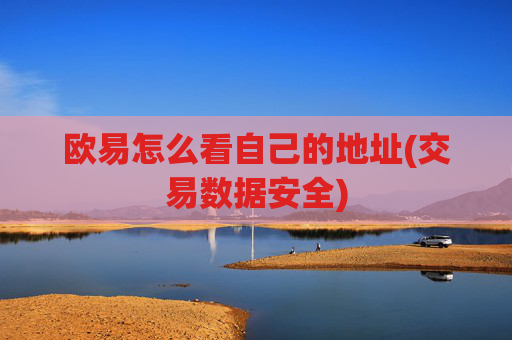 欧易怎么看自己的地址(交易数据安全)