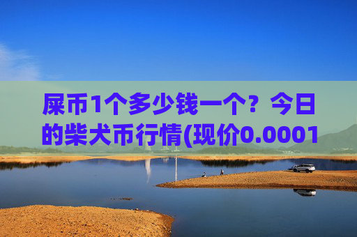 屎币1个多少钱一个？今日的柴犬币行情(现价0.00015975元)