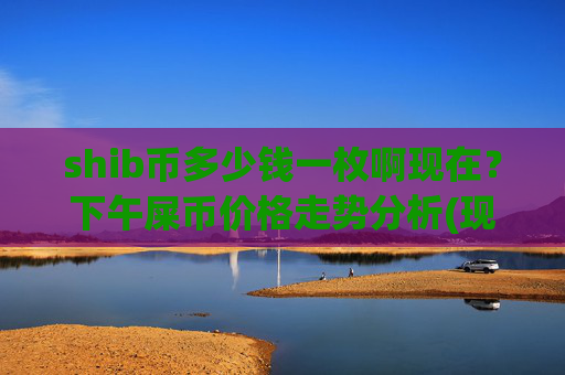 shib币多少钱一枚啊现在？下午屎币价格走势分析(现价0.00015778元)