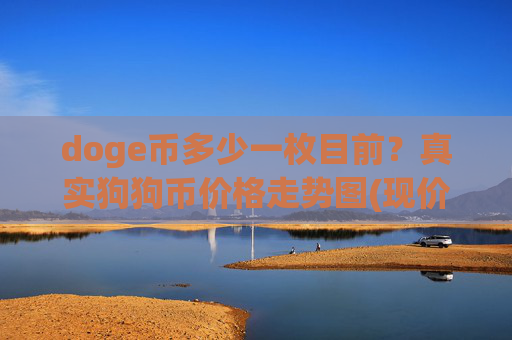 doge币多少一枚目前？真实狗狗币价格走势图(现价2.2896元)
