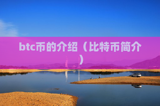 btc币的介绍（比特币简介）
