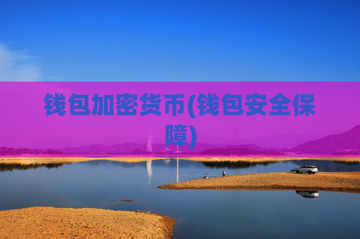 钱包加密货币(钱包安全保障)