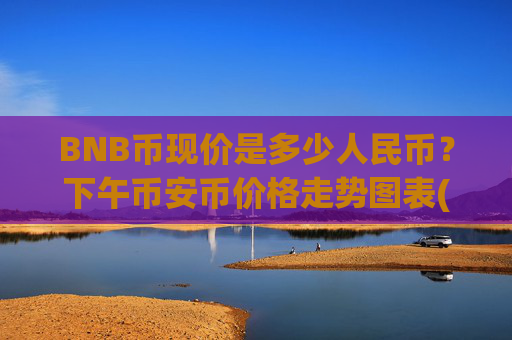 BNB币现价是多少人民币？下午币安币价格走势图表(现价4784.09元)