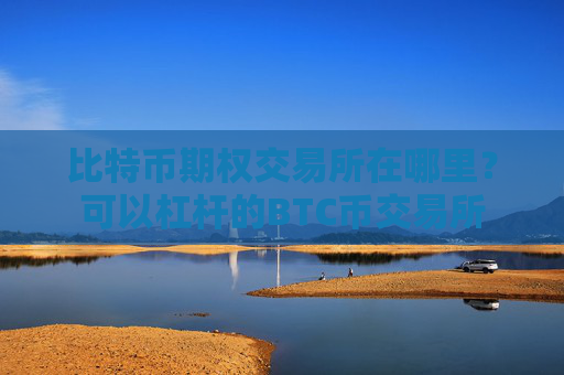 比特币期权交易所在哪里？可以杠杆的BTC币交易所