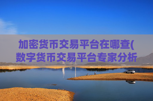 加密货币交易平台在哪查(数字货币交易平台专家分析)