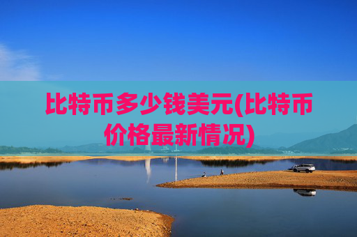 比特币多少钱美元(比特币价格最新情况)