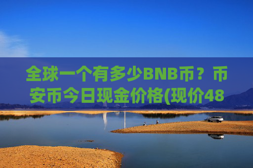 全球一个有多少BNB币？币安币今日现金价格(现价4896.5元)