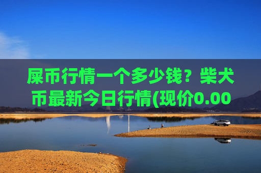 屎币行情一个多少钱？柴犬币最新今日行情(现价0.00016019元)