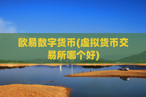 欧易数字货币(虚拟货币交易所哪个好)
