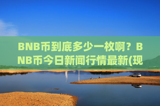 BNB币到底多少一枚啊？BNB币今日新闻行情最新(现价4828.22元)