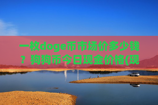 一枚doge币市场价多少钱？狗狗币今日现金价格(现价2.3309元)