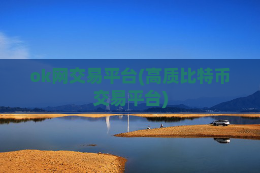 ok网交易平台(高质比特币交易平台)