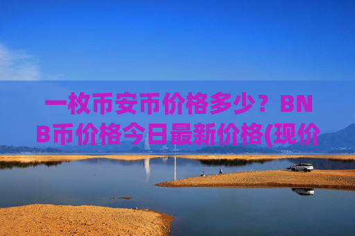 一枚币安币价格多少？BNB币价格今日最新价格(现价4845.07元)