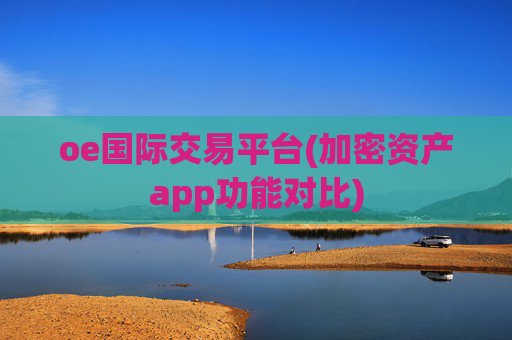 oe国际交易平台(加密资产app功能对比)