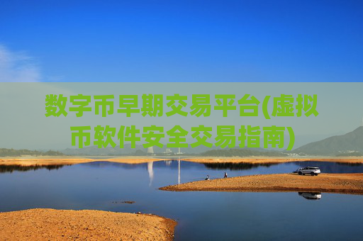 数字币早期交易平台(虚拟币软件安全交易指南)