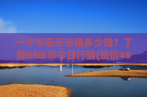 一个币安币市值多少钱？了解BNB币今日行情(现价4896.1元)